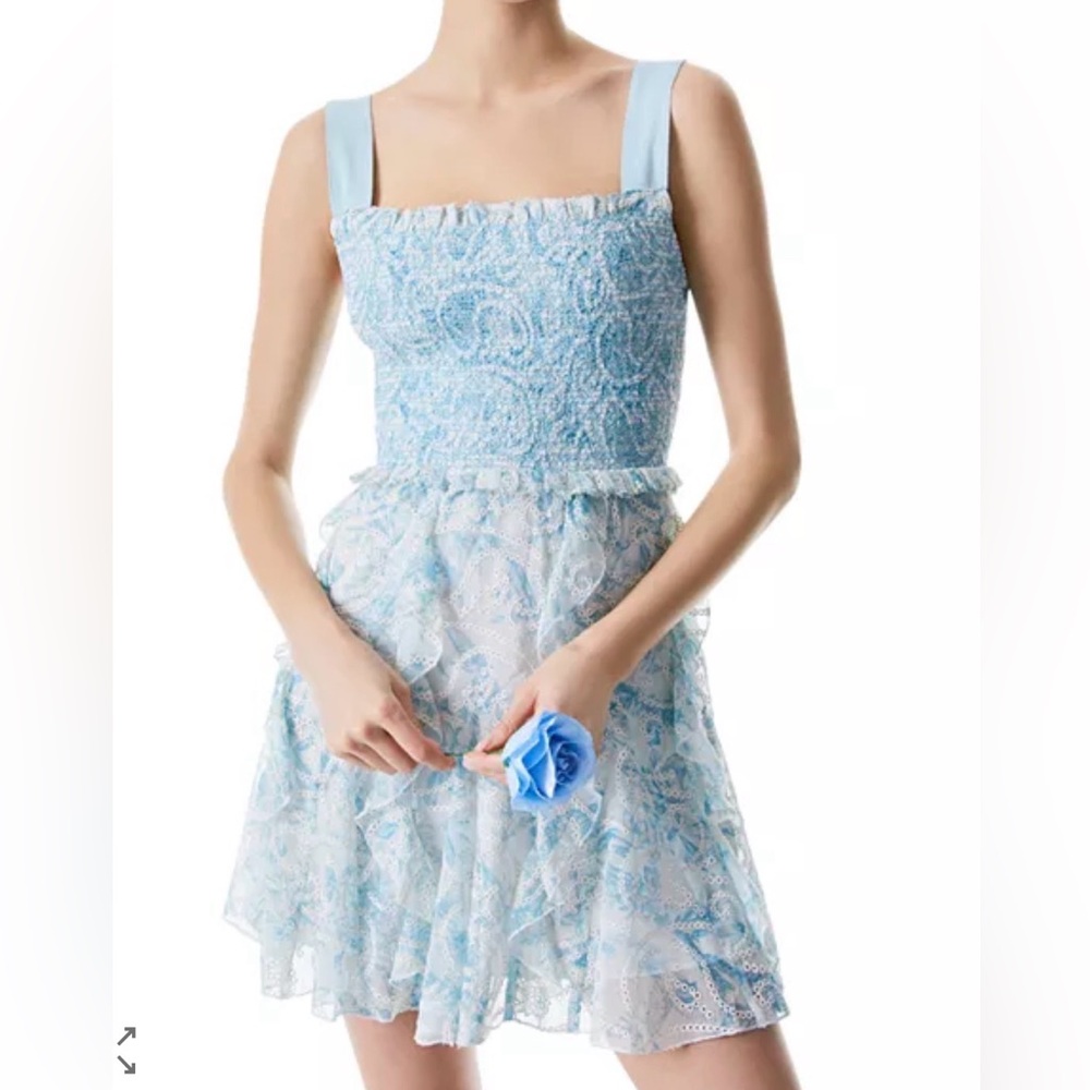 NWT Jocelyn Smocked Mini Dress